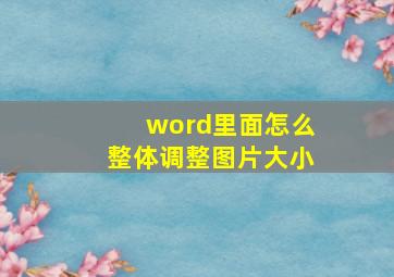 word里面怎么整体调整图片大小