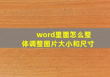 word里面怎么整体调整图片大小和尺寸