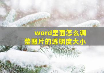 word里面怎么调整图片的透明度大小