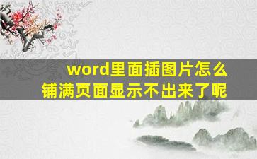 word里面插图片怎么铺满页面显示不出来了呢