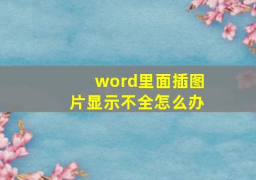 word里面插图片显示不全怎么办