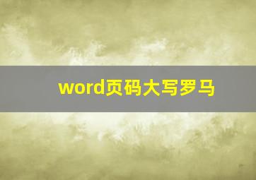 word页码大写罗马