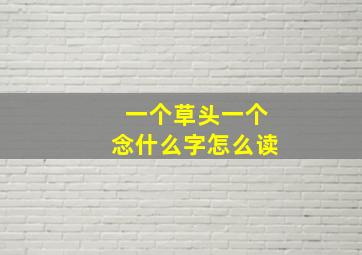 一个草头一个念什么字怎么读