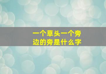 一个草头一个旁边的旁是什么字