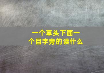 一个草头下面一个目字旁的读什么