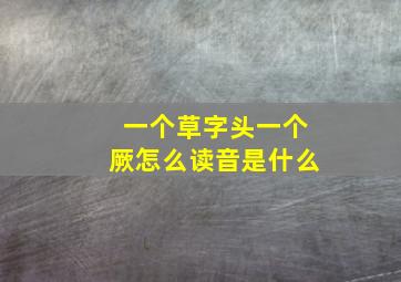 一个草字头一个厥怎么读音是什么