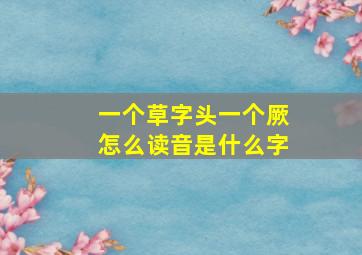 一个草字头一个厥怎么读音是什么字