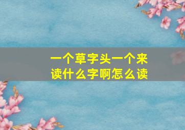 一个草字头一个来读什么字啊怎么读