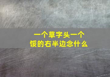 一个草字头一个馁的右半边念什么