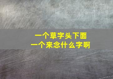 一个草字头下面一个来念什么字啊