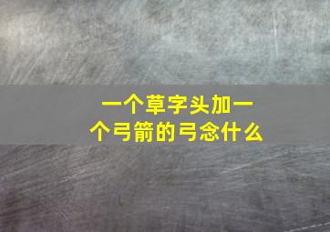 一个草字头加一个弓箭的弓念什么