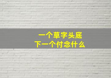 一个草字头底下一个付念什么