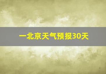 一北京天气预报30天