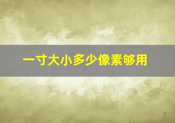 一寸大小多少像素够用