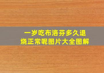 一岁吃布洛芬多久退烧正常呢图片大全图解