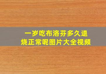 一岁吃布洛芬多久退烧正常呢图片大全视频