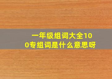 一年级组词大全100专组词是什么意思呀