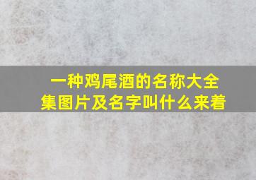 一种鸡尾酒的名称大全集图片及名字叫什么来着