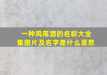 一种鸡尾酒的名称大全集图片及名字是什么意思