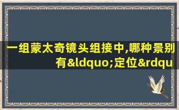 一组蒙太奇镜头组接中,哪种景别有“定位”作用