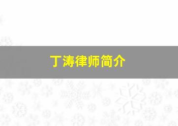 丁涛律师简介