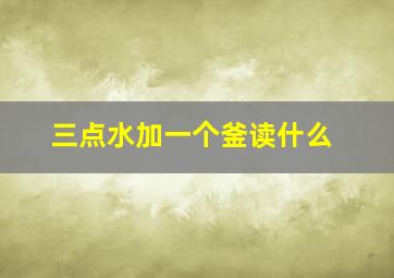 三点水加一个釜读什么