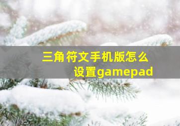 三角符文手机版怎么设置gamepad