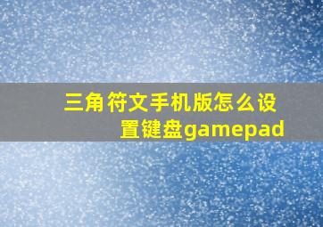 三角符文手机版怎么设置键盘gamepad