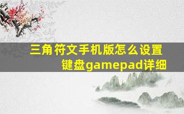 三角符文手机版怎么设置键盘gamepad详细