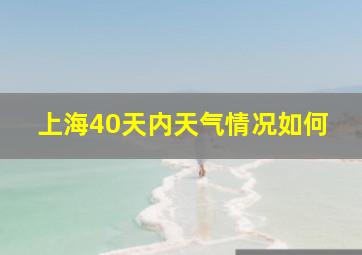 上海40天内天气情况如何