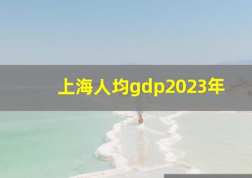 上海人均gdp2023年