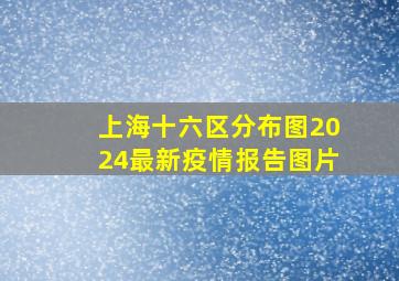 上海十六区分布图2024最新疫情报告图片