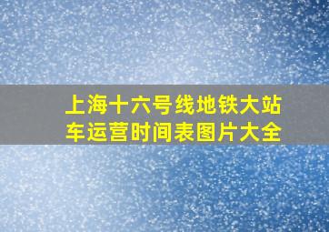 上海十六号线地铁大站车运营时间表图片大全