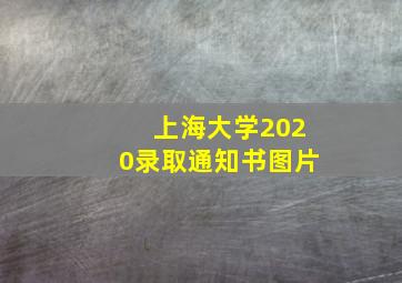 上海大学2020录取通知书图片