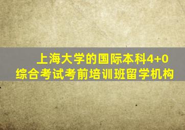 上海大学的国际本科4+0综合考试考前培训班留学机构