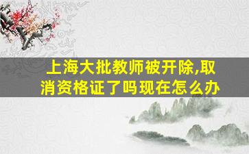 上海大批教师被开除,取消资格证了吗现在怎么办