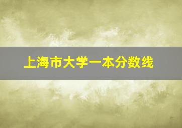 上海市大学一本分数线