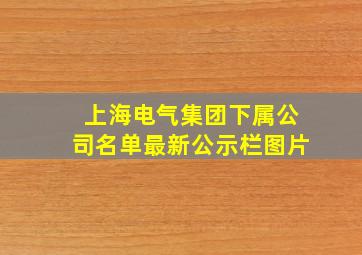 上海电气集团下属公司名单最新公示栏图片