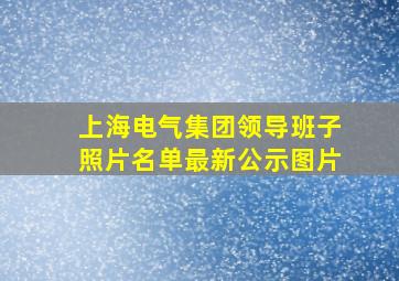 上海电气集团领导班子照片名单最新公示图片