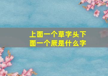 上面一个草字头下面一个厥是什么字