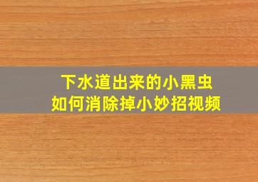 下水道出来的小黑虫如何消除掉小妙招视频