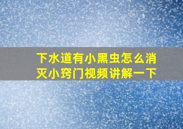 下水道有小黑虫怎么消灭小窍门视频讲解一下