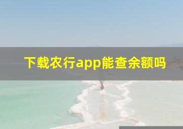 下载农行app能查余额吗