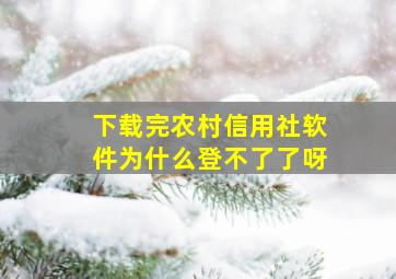 下载完农村信用社软件为什么登不了了呀