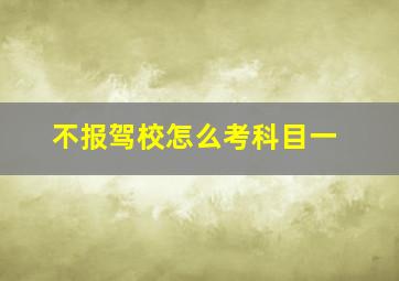 不报驾校怎么考科目一