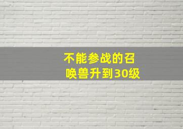 不能参战的召唤兽升到30级