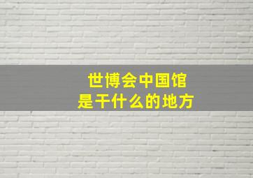 世博会中国馆是干什么的地方