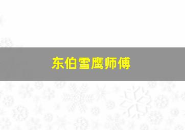 东伯雪鹰师傅