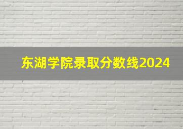 东湖学院录取分数线2024