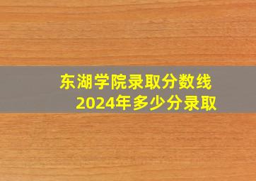 东湖学院录取分数线2024年多少分录取